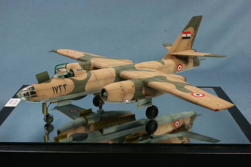 IL28 Beagle