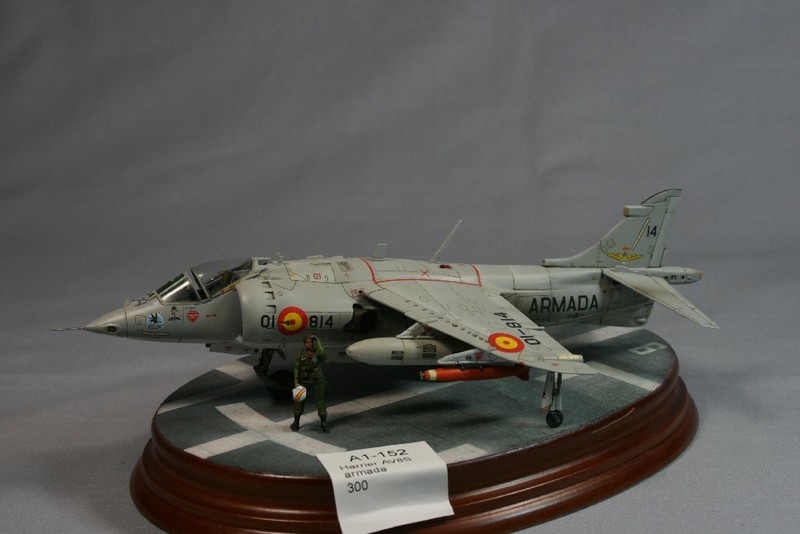 Harrier AV8S armada