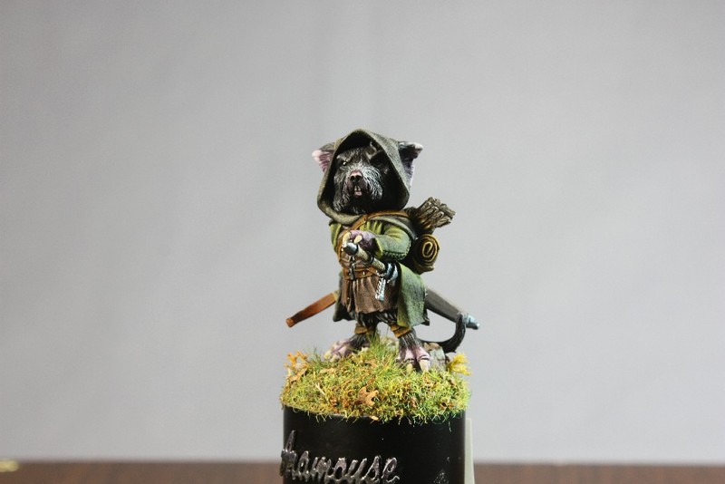 Aramouse