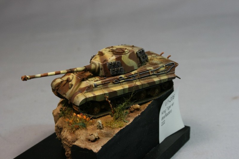 King Tiger en desfiladero