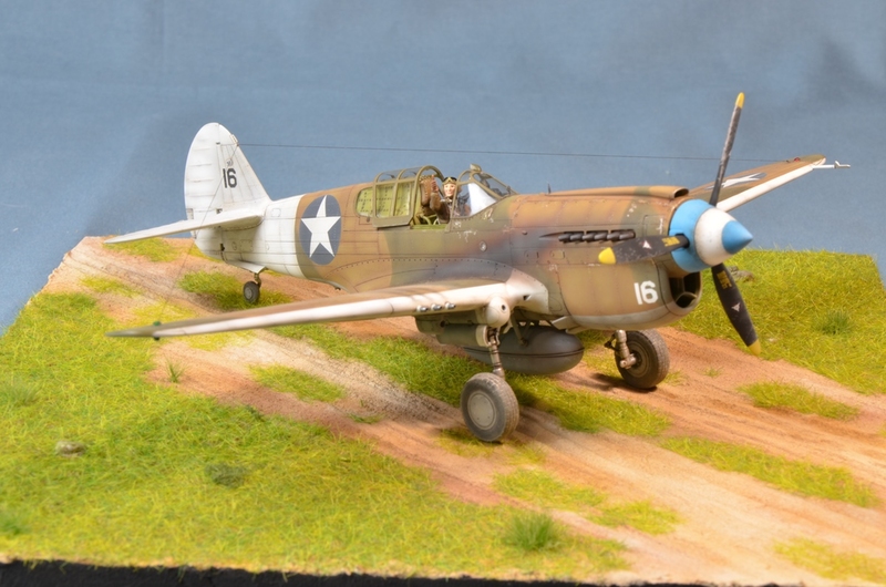 P-40 "Typhoon McGoon"