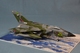 Tornado