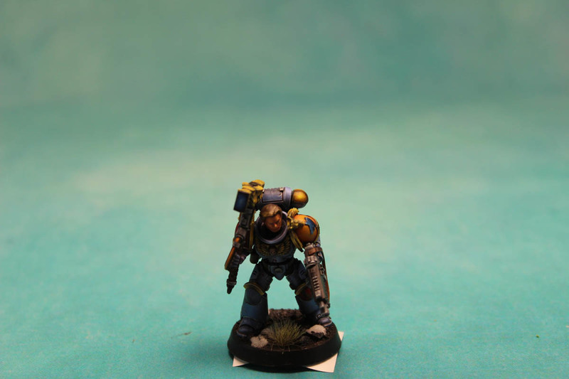 Lobo espacial 2