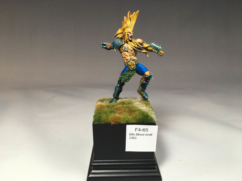 Elfo Blood bowl