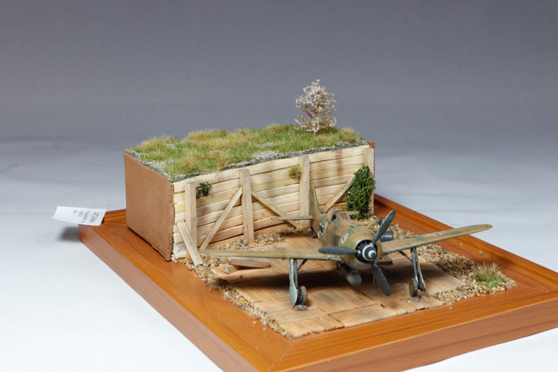 Focke-Wulf Fw-190F-8