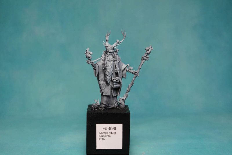   Camus figura completa 