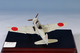 Ki-51 Sonia