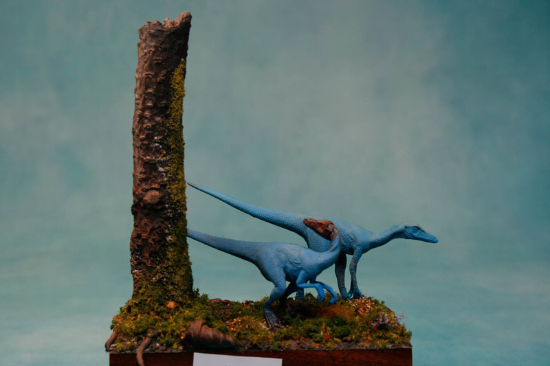 Velociraptor