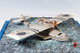 DORNIER WAL