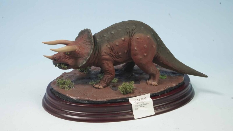 Triceratops Eurycephalus