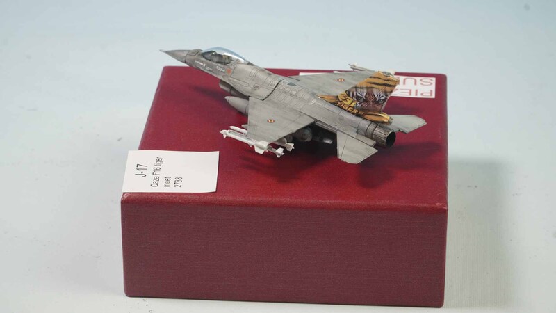 Caza F16 tiger meet