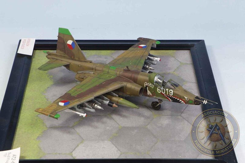 Su-25 Frogfoot 