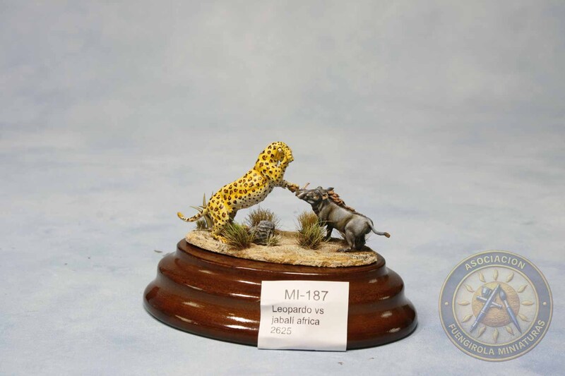 Leopardo vs jabalí africano