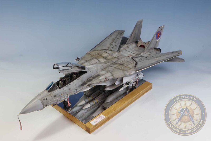 F-14 TOMCAT MAVERICK