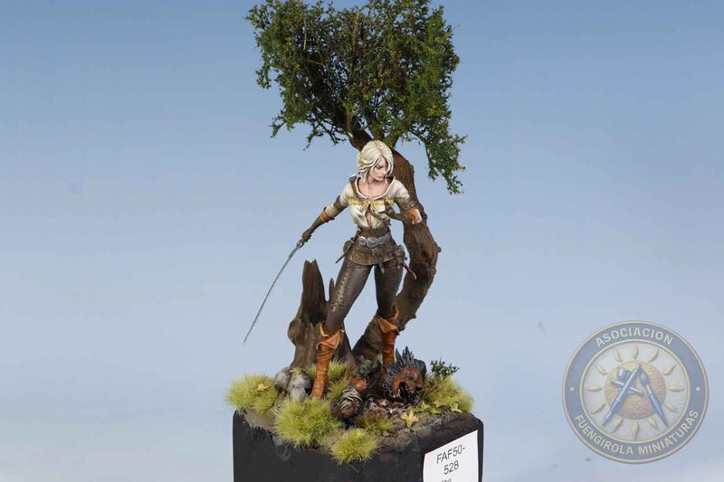 Ciri The Witcher