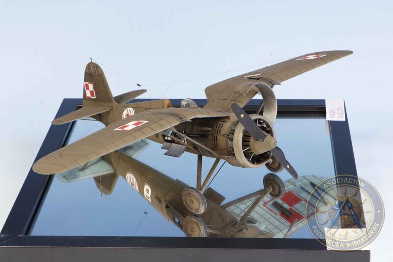 PZL P.11c Ze 111