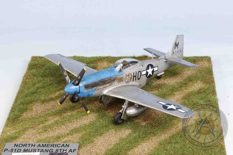 Mustang P-51